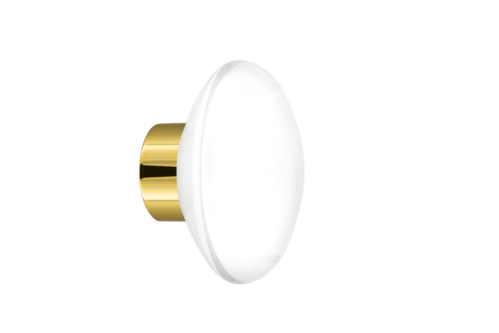 Bouton de porte collection Clear - Incolore - Disque Ø55 mm (Cabinet, Polished Brass)